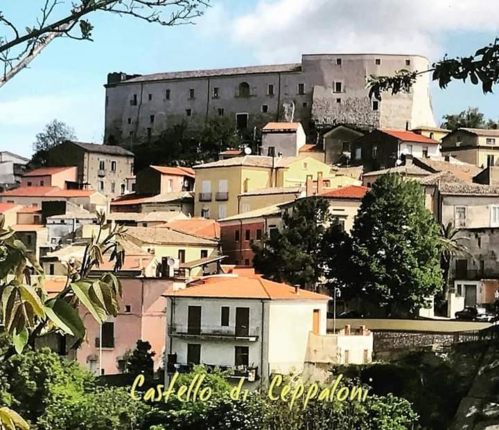 Casa Vacanza Zia Ersilia Rotondi المظهر الخارجي الصورة