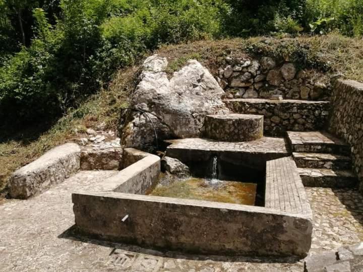 Casa Vacanza Zia Ersilia Rotondi المظهر الخارجي الصورة