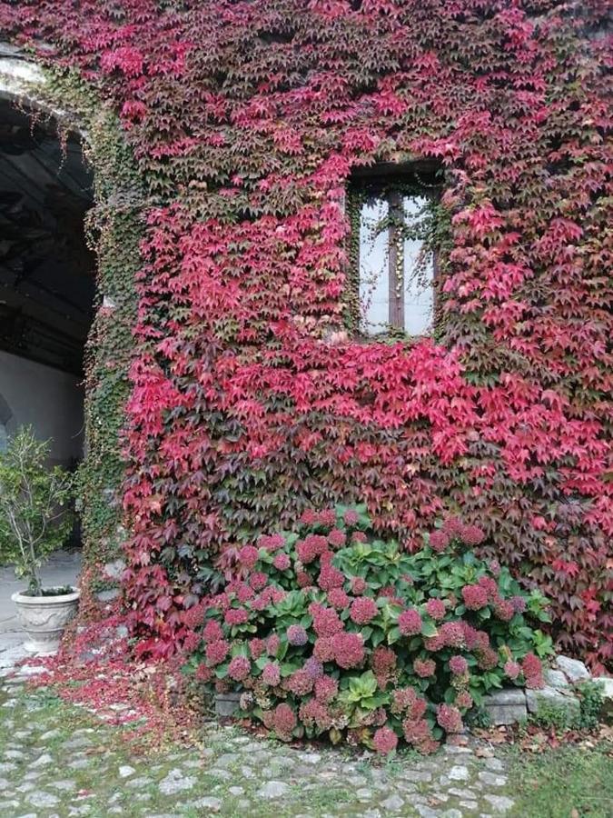 Casa Vacanza Zia Ersilia Rotondi المظهر الخارجي الصورة